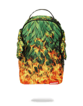Limited Edition WINGS OF PARADISE