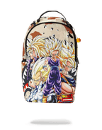 Limited Edition DRAGON BALL Z SUPER SAIYAN