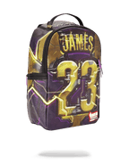 Limited Edition LEBRON JAMES CYBORG - NBA LAB