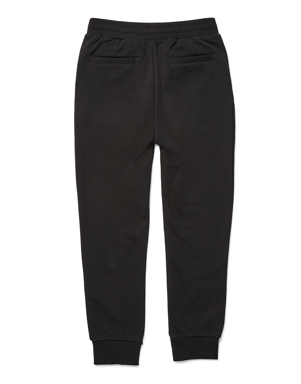 Limited Edition SHARK BITE JOGGER