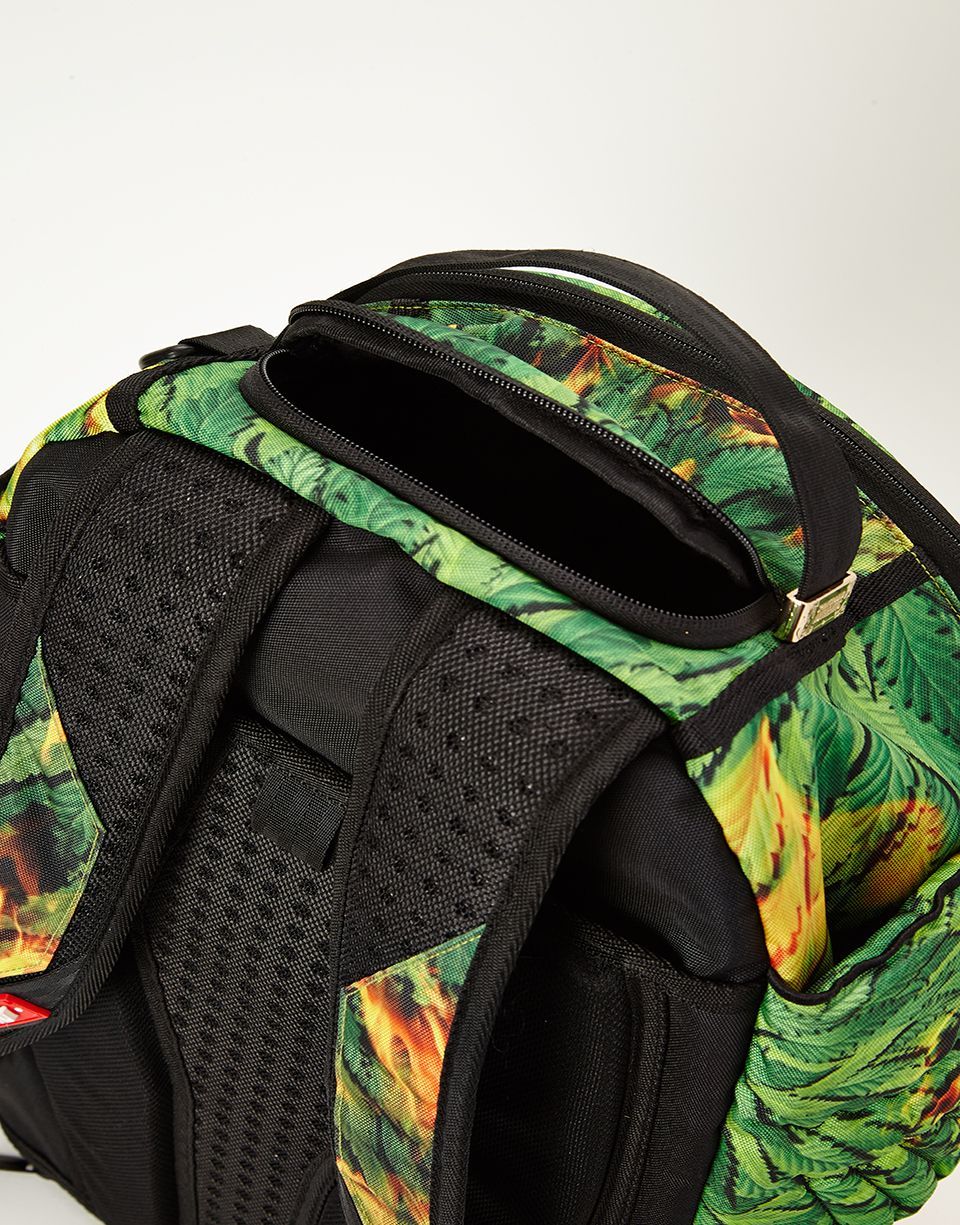 Limited Edition WINGS OF PARADISE