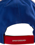 Limited Edition UNITED SHARKS PACKAGE SERVICE HAT