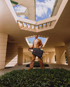Limited Edition FRANK LLOYD WRIGHT COLLAB HARD SHELL LUGGAGE