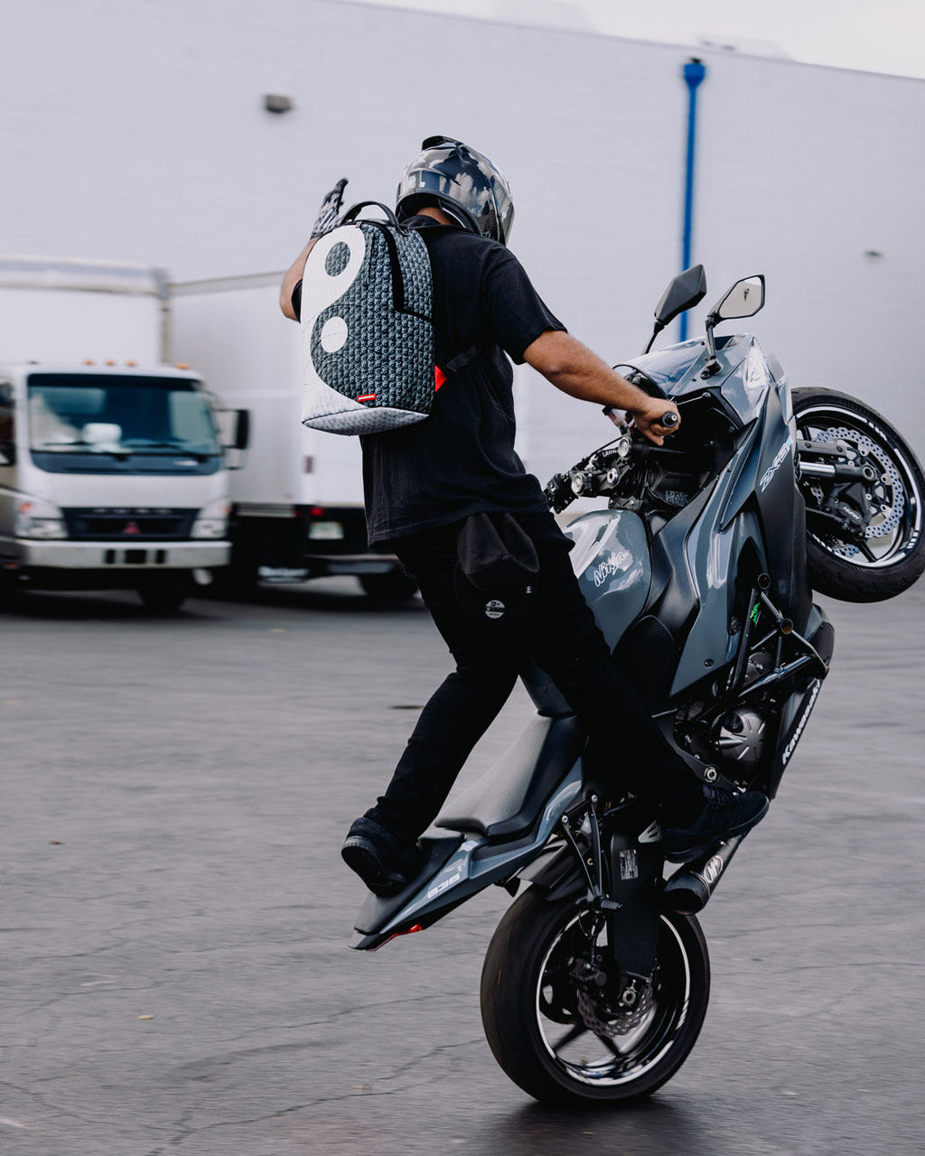 Limited Edition THE BALANCE OF POWER BACKPACK