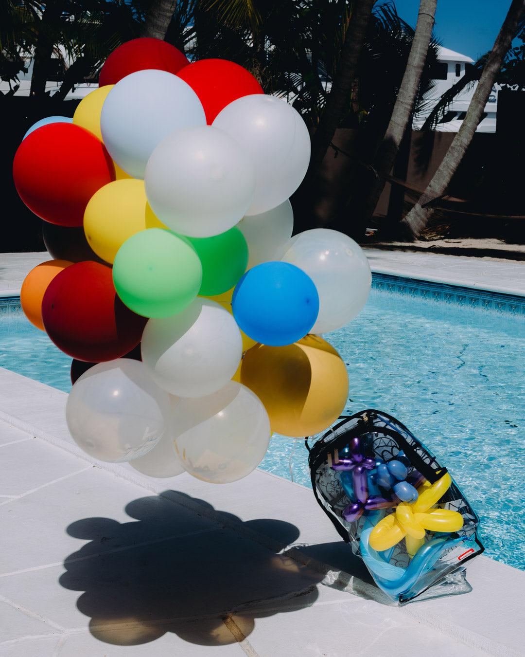 Limited Edition CLEAR DLX BACKPACK - ASTROMANE SKY WRITER