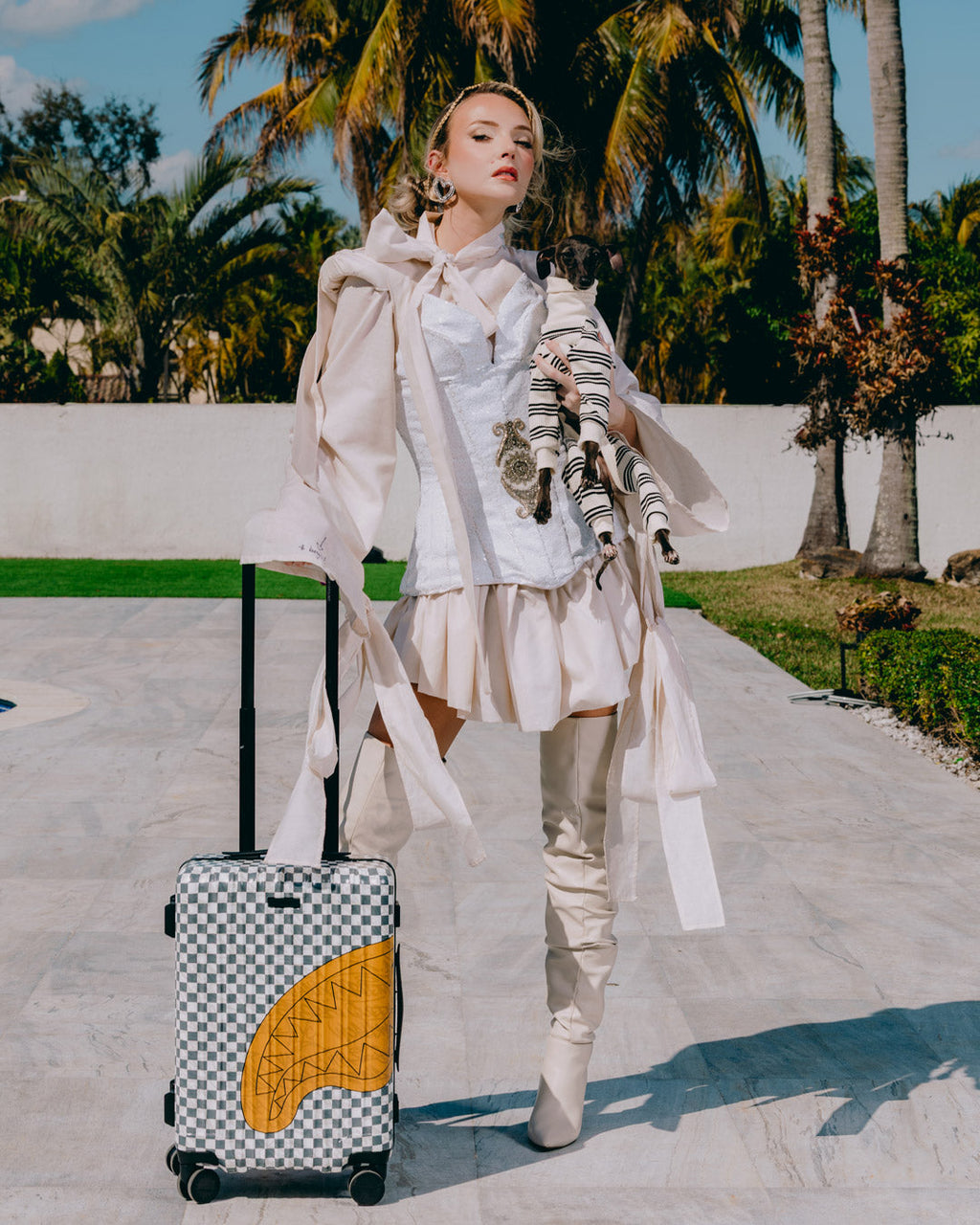 Limited Edition RITZ RIVIERA CARRY-ON LUGGAGE