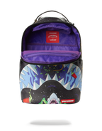 Limited Edition ASTRO PARTY BACKPACK