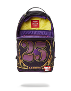 Limited Edition NBA LEBRON MONEY BACKPACK