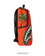 Limited Edition MIAMI HURRICANES BACKPACK
