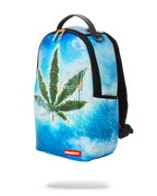 Limited Edition OG ISLAND DLXV BACKPACK
