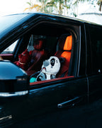 Limited Edition MONEYBEAR TEDDYBEAR BACKPACK PANDA PANDA PANDA