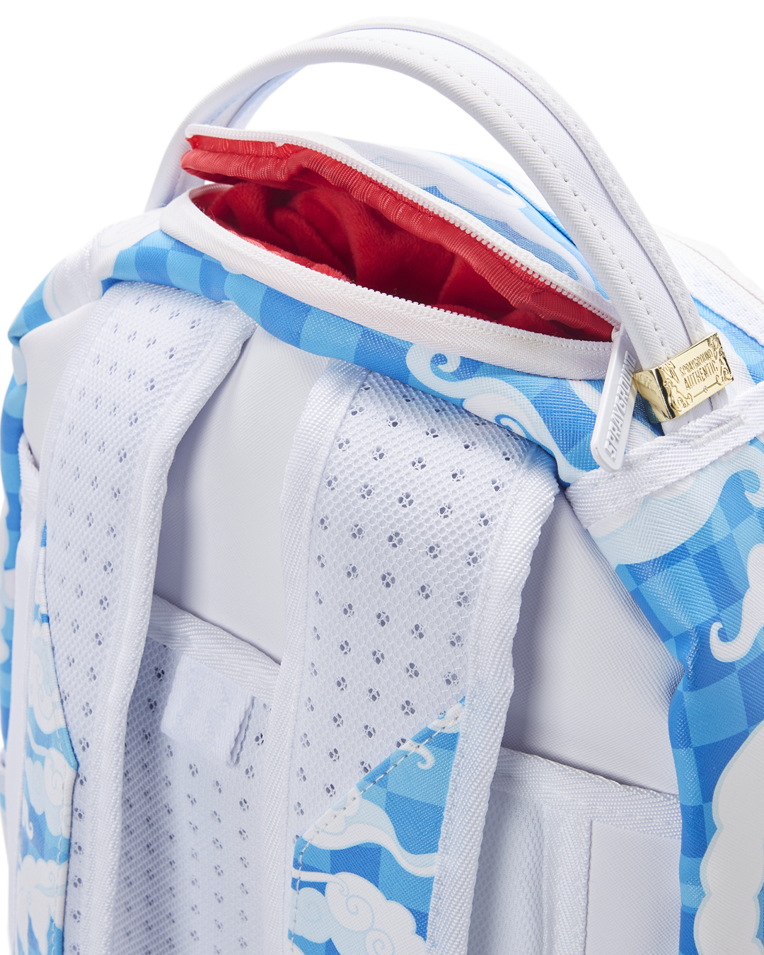 Limited Edition SKYBORNE DLXV BACKPACK