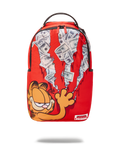 Limited Edition GARFIELD CAT SCRATCH DLXR