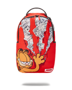 Limited Edition GARFIELD CAT SCRATCH DLXR