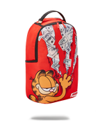 Limited Edition GARFIELD CAT SCRATCH DLXR