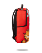 Limited Edition GARFIELD CAT SCRATCH DLXR