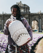 Limited Edition MONEY PATTERN POWDER BACKPACK DLXV