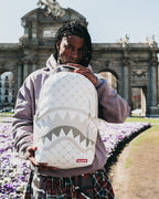 Limited Edition MONEY PATTERN POWDER BACKPACK DLXV