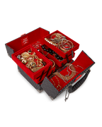 Limited Edition SPRAYGATTI REVV JEWELRY CASE