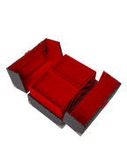 Limited Edition SPRAYGATTI REVV JEWELRY CASE