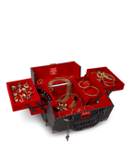 Limited Edition SPRAYGATTI REVV JEWELRY CASE