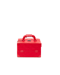 Limited Edition SOULJA BOY JEWELRY CASE
