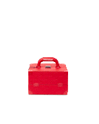 Limited Edition SOULJA BOY JEWELRY CASE