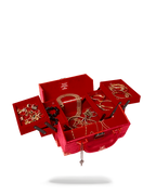 Limited Edition SOULJA BOY JEWELRY CASE