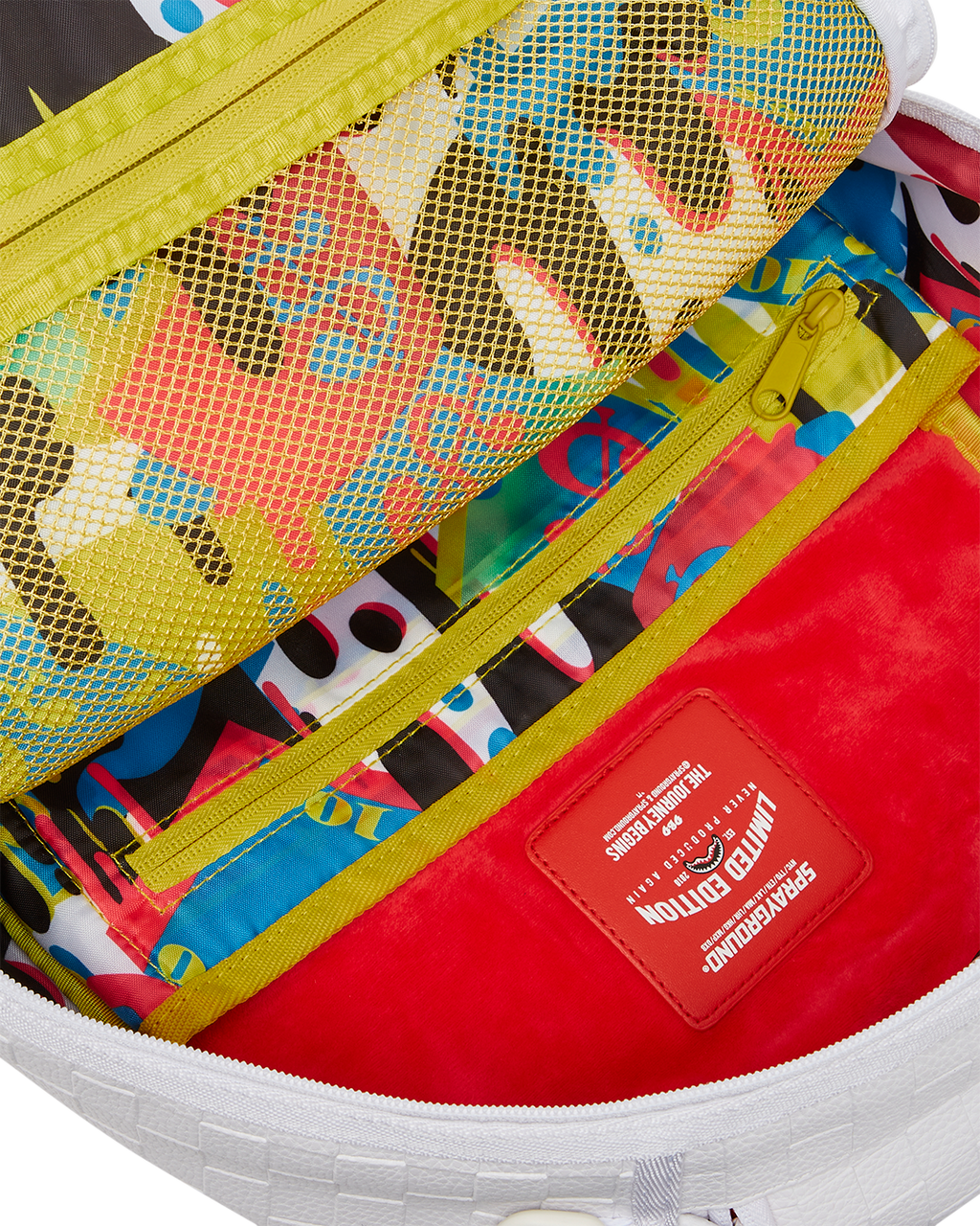 Limited Edition SHOW UP SHOW OUT BACKPACK DLXV