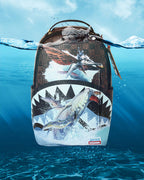 Limited Edition AVATAR TULKUN FLIGHT SHARK