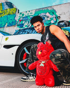 Limited Edition DIABLO PLUSH TEDDYBEAR BACKPACK