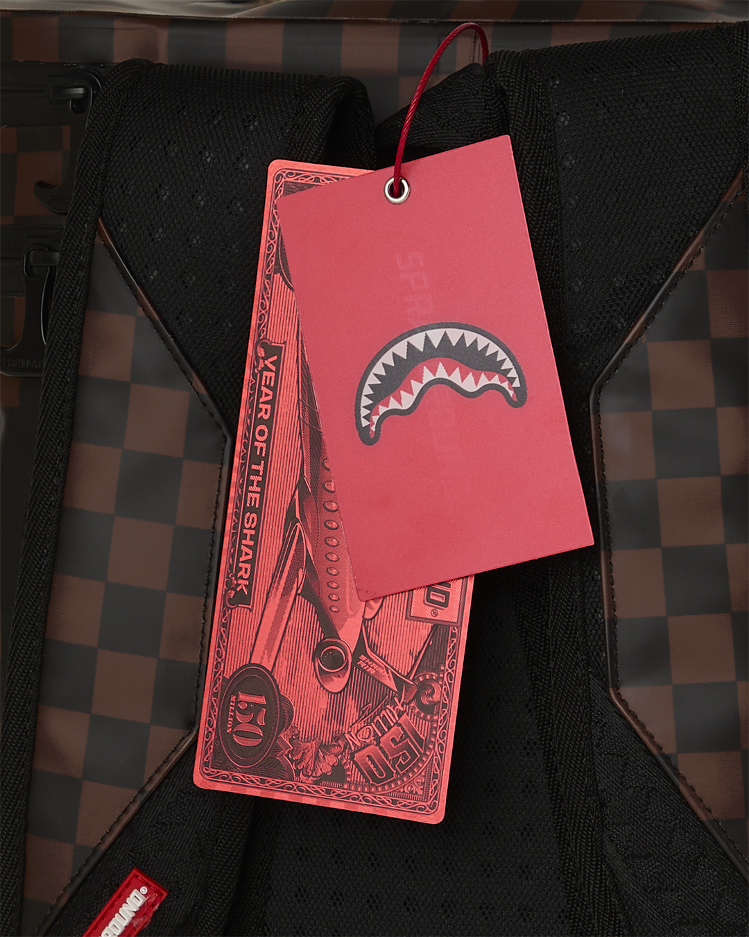 Limited Edition SHARK COOLER BACKPACK