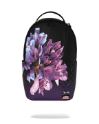 Limited Edition WYNWOOD WALLS COLLAB SOPHIE MESS FERNWEH BACKPACK