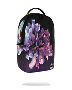 Limited Edition WYNWOOD WALLS COLLAB SOPHIE MESS FERNWEH BACKPACK