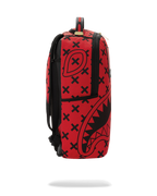 Limited Edition DIVIDE & CONQUER BACKPACK