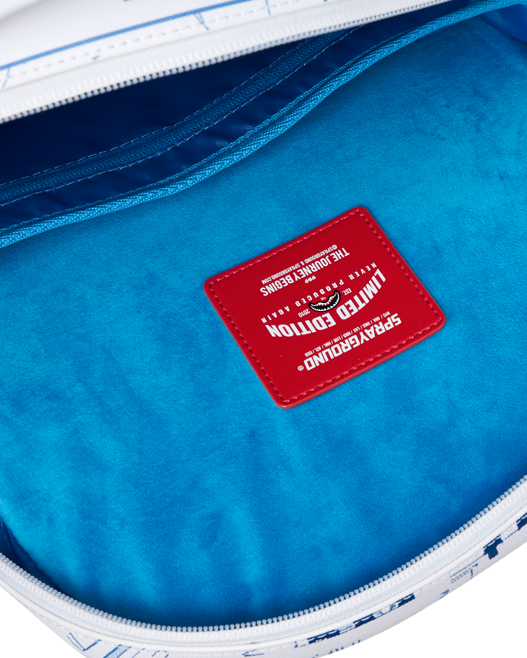 Limited Edition FRANK LLOYD WRIGHT COLLAB BREAKING THE BOX BACKPACK