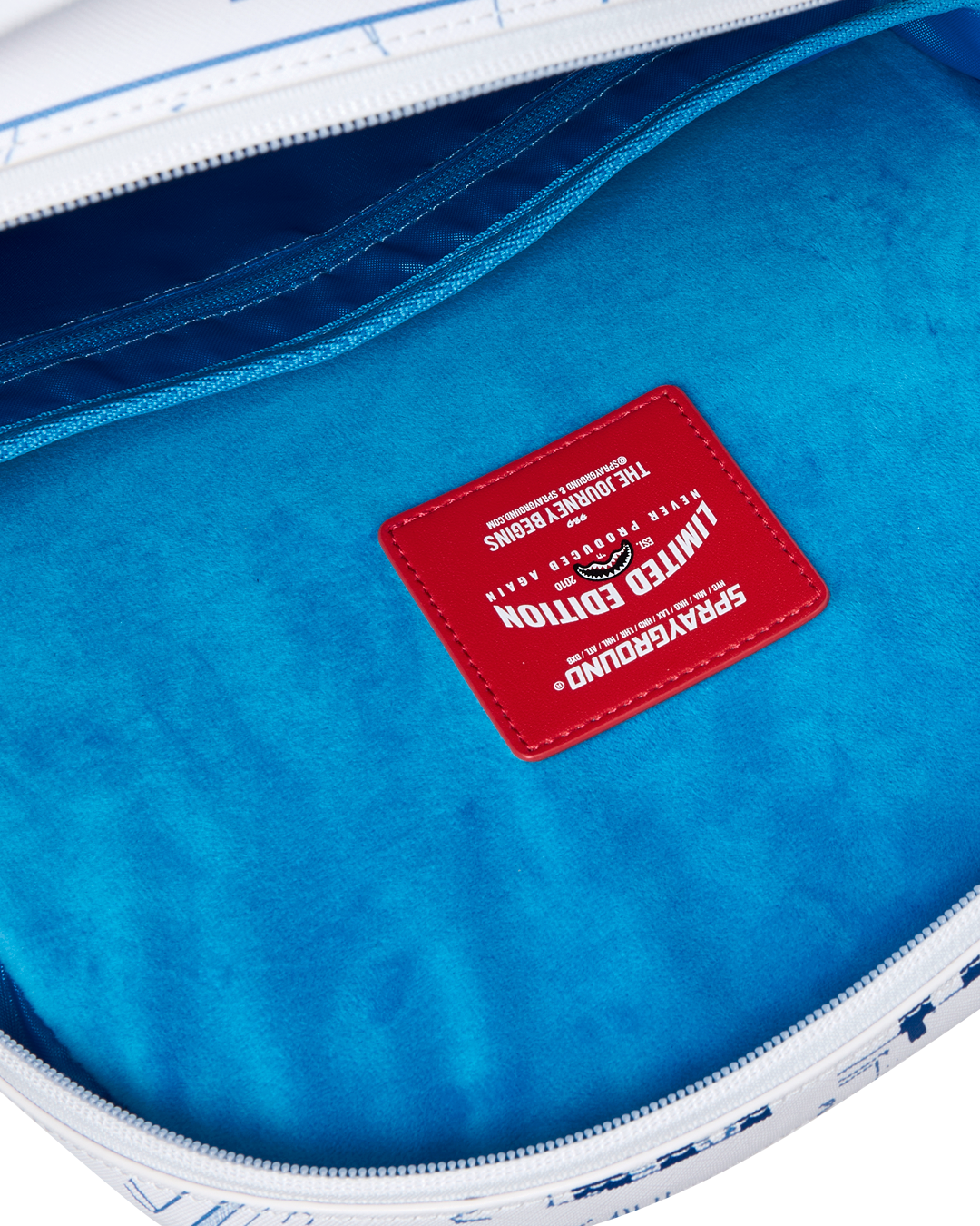 Limited Edition FRANK LLOYD WRIGHT COLLAB BREAKING THE BOX BACKPACK