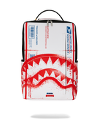 Limited Edition USPS SHIPPING BOX BACKPACK