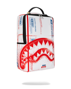 Limited Edition USPS SHIPPING BOX BACKPACK