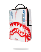 Limited Edition USPS SHIPPING BOX BACKPACK
