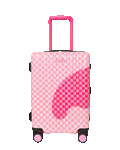 Limited Edition SUGAR DRIP CANDY BITE CARRY-ON LUGGAGE