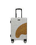 Limited Edition RITZ RIVIERA CARRY-ON LUGGAGE
