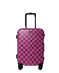 Limited Edition A.I. AFRICAN INTELLIGENCE THE SUNSET RESET CARRY ON LUGGAGE - SANDFLOWER COLLAB