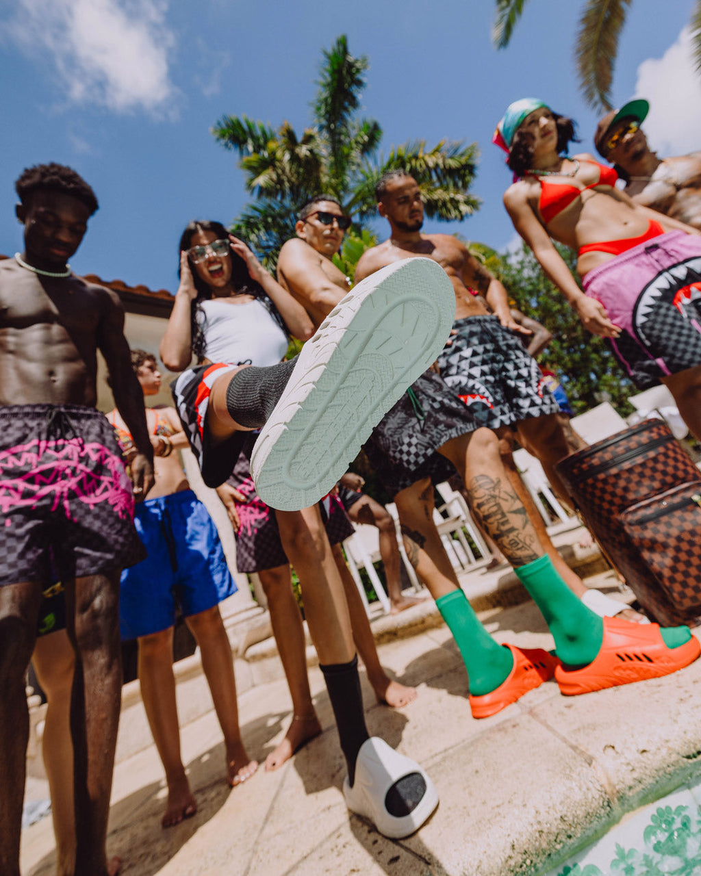 Limited Edition SHARK SLIDE WHT