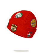 Limited Edition THE GLOBAL EXPEDITION BEANIE