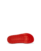 Limited Edition SHARK SLIDE RED
