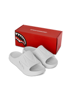 Limited Edition SHARK SLIDE WHT
