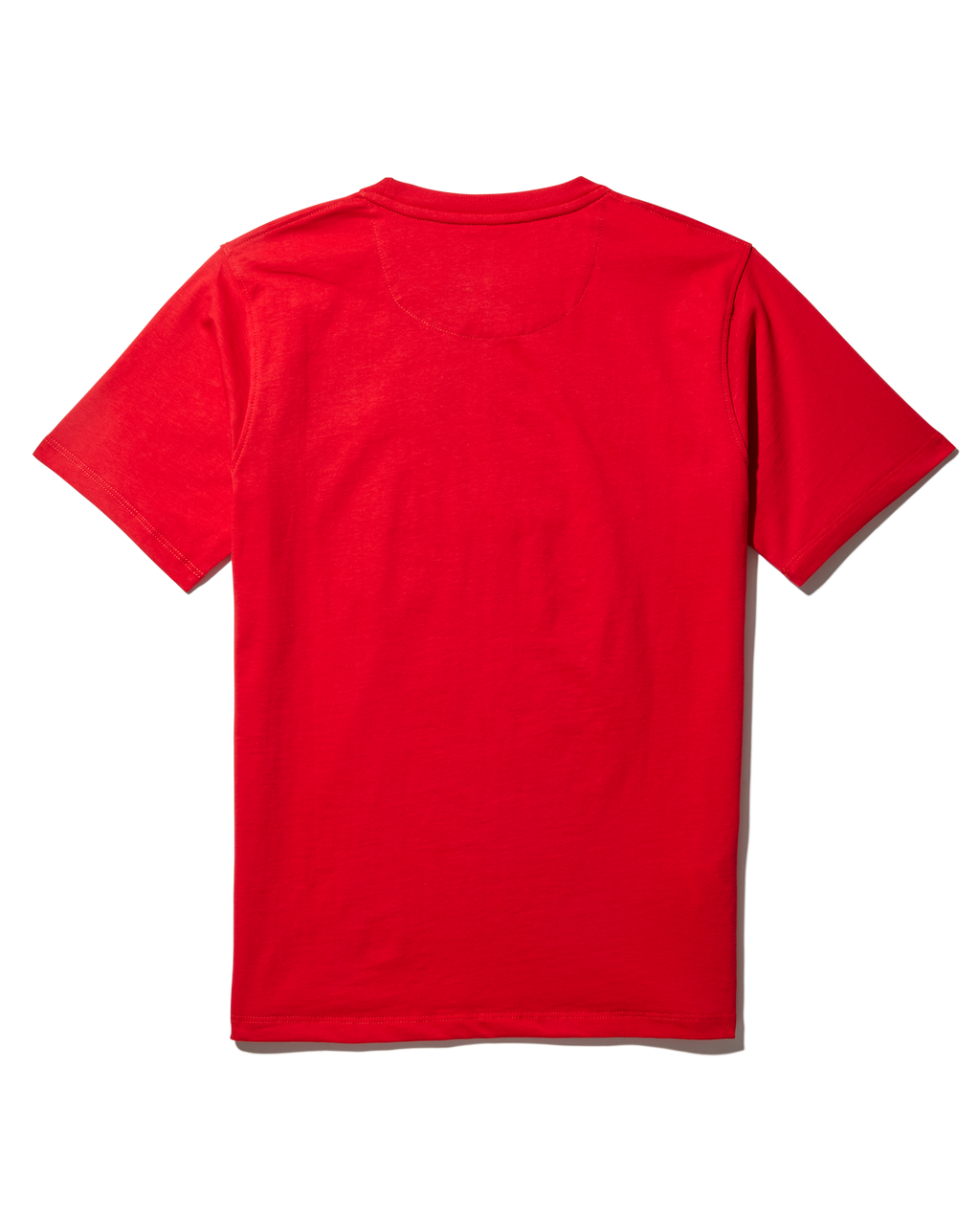 Limited Edition YOUTH ANATOMY BEAR T-SHIRT RED