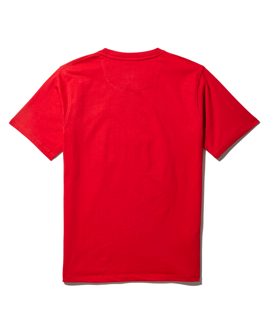 Limited Edition YOUTH ANATOMY BEAR T-SHIRT RED