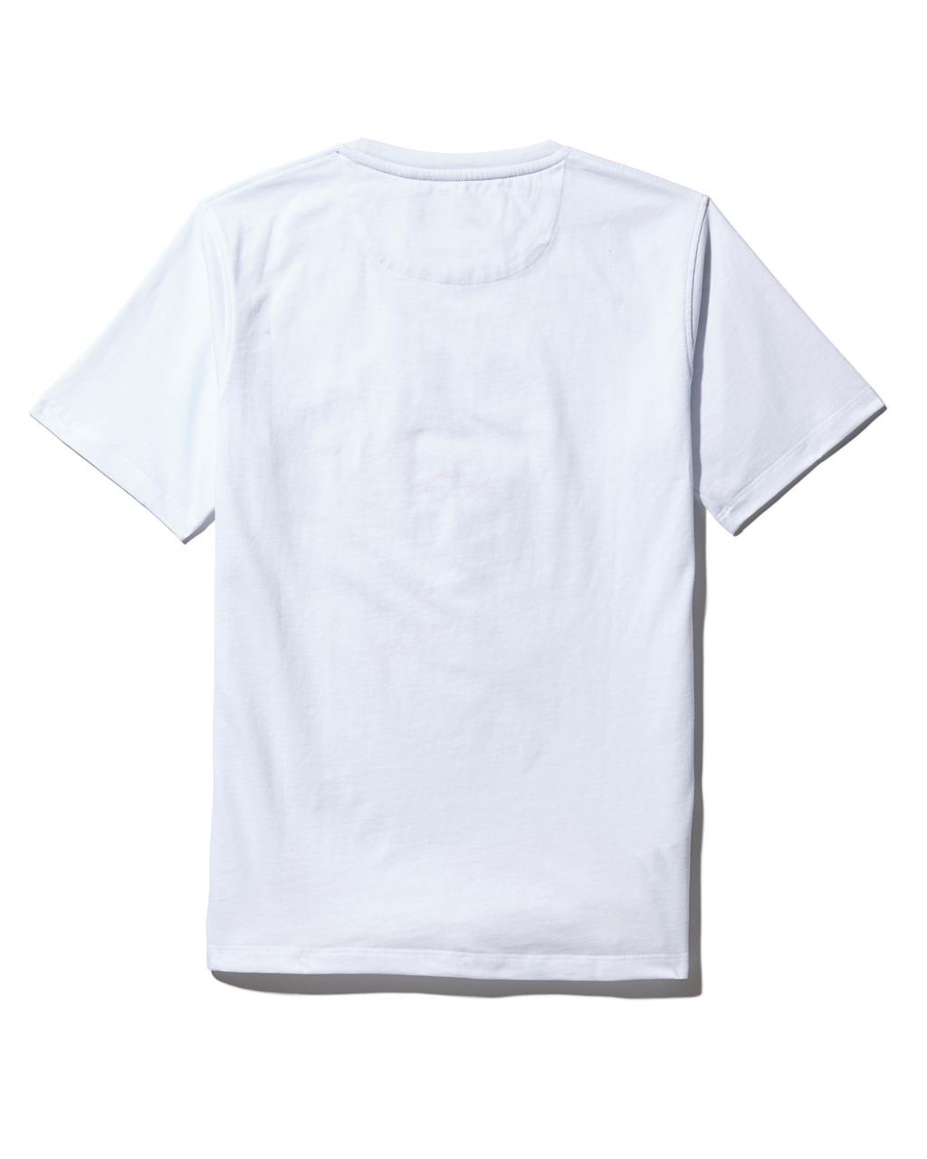 Limited Edition YOUTH ANATOMY BEAR T-SHIRT WHITE